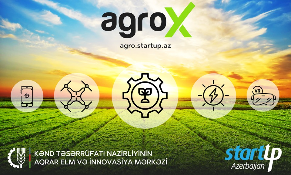 agroX-in Gəncə yarımfinalçıları üçün mentor dəstəyi təşkil olunacaq